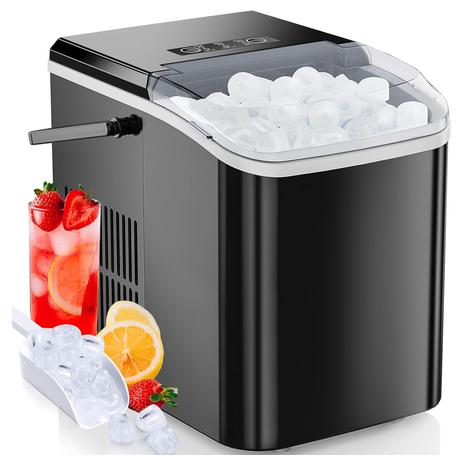 Ice Maker With Self Cleaning