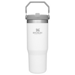 Stanley IceFlow Stainless Steel Tumbler with Straw