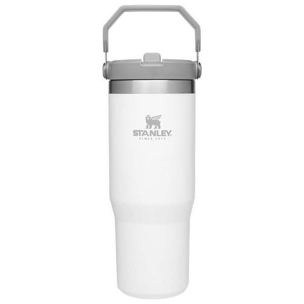 Stanley IceFlow Stainless Steel Tumbler with Straw