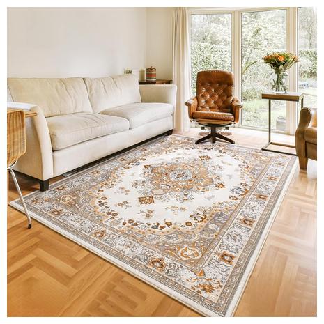 4x6 Living Room Washable Area Rug