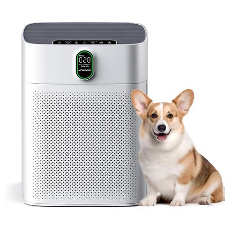 Large Room Air Purifier