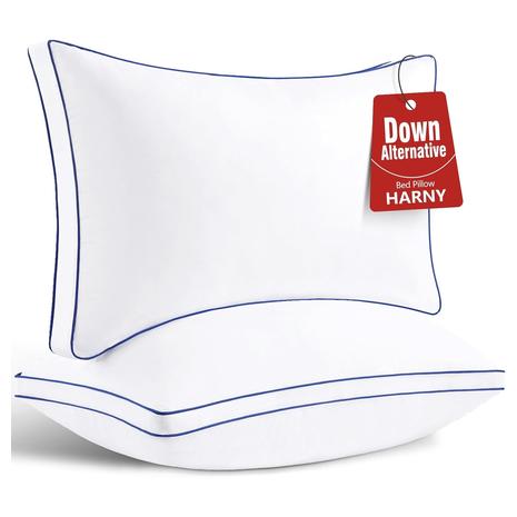 2 Queen Size Luxury Pillows