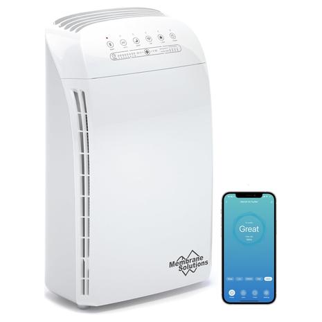 Large Smart Air Purifier