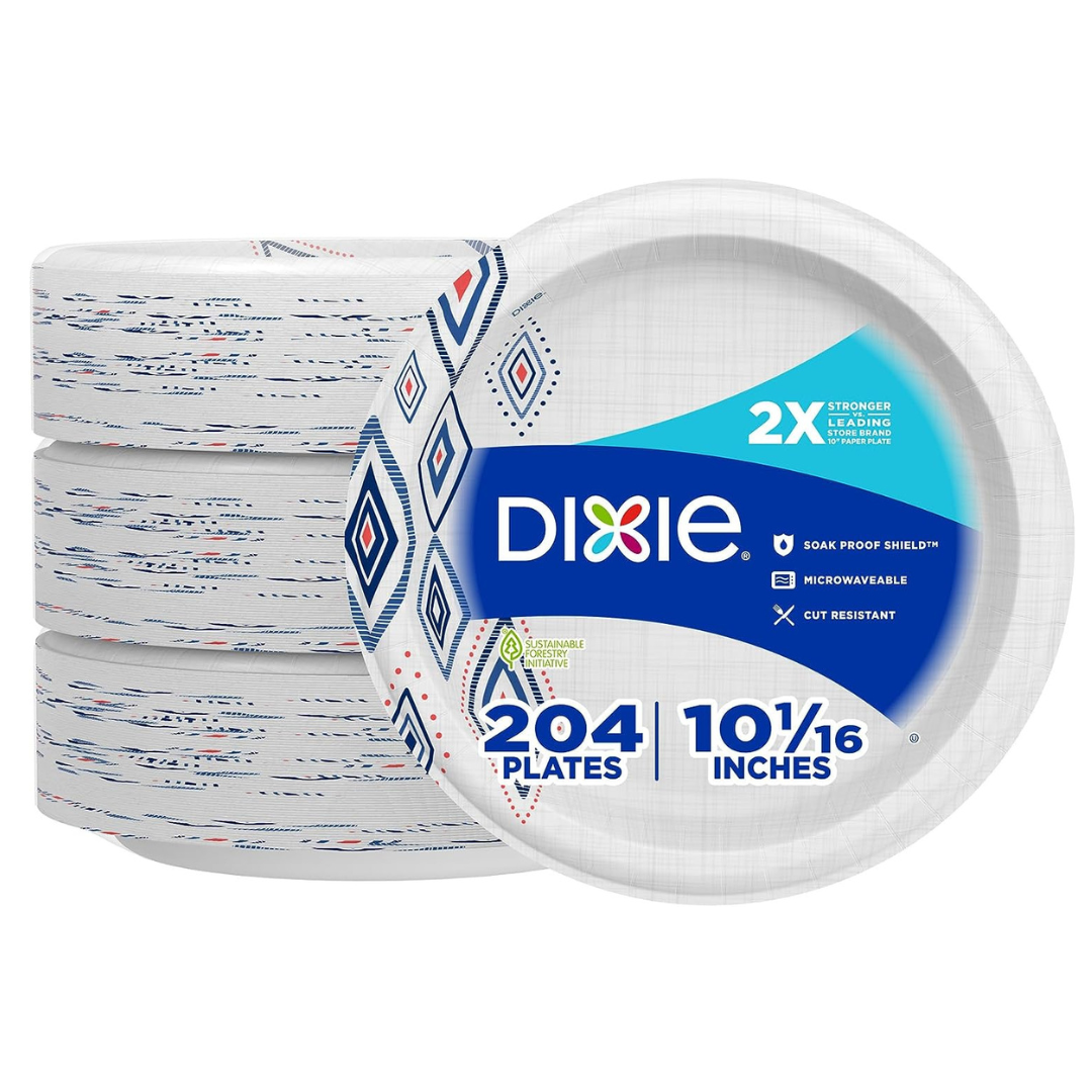 204 Dixie Large 10 Inch Paper Plates