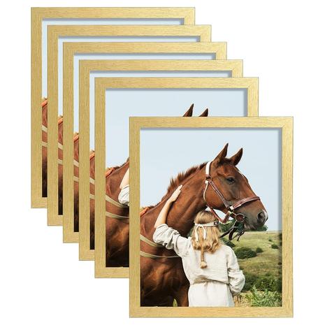 6-Pack Picture Frame Gold Set ("8x10")