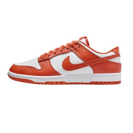 Nike Men's Dunk Low Retro Shoes