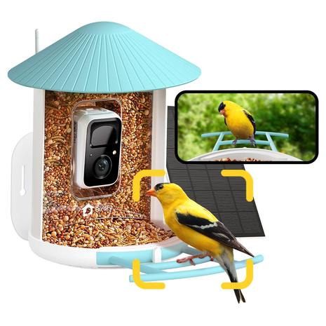 AI Smart Bird Feeder With Camera That Identifies 6,000+ Bird Species