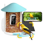 AI Smart Bird Feeder With Camera That Identifies 6,000+ Bird Species