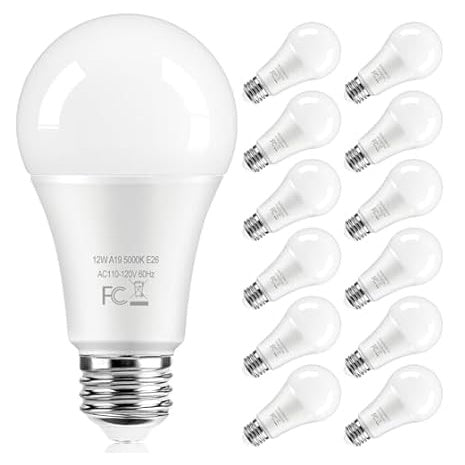 12 A19 Daylight White LED Bulbs