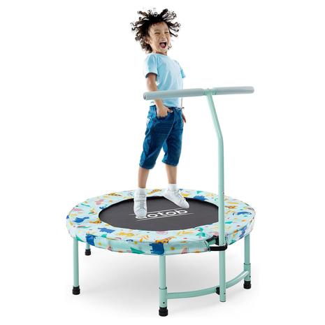 Mini Trampoline w/ Safety Pad