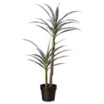 Artificial Yucca Plant With Plastic Nursery Pot