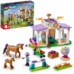 LEGO Friends Horse Training Toy