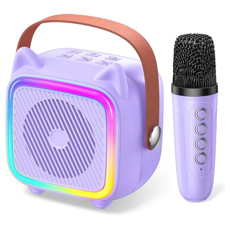 Mini Karaoke Machine with 2 Microphones