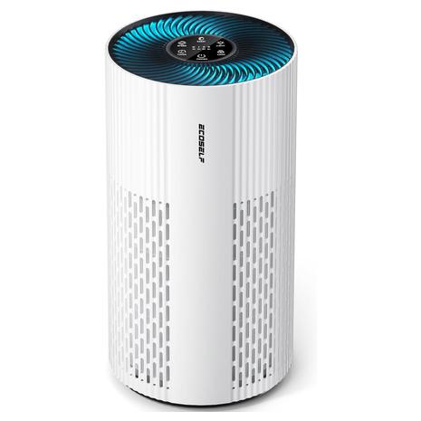 Large Room Air Purifier