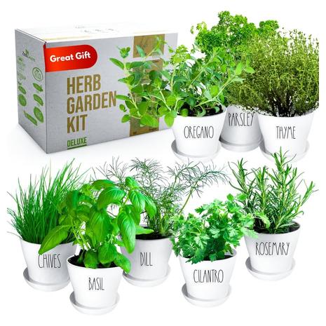 Deluxe Herb Garden Kit