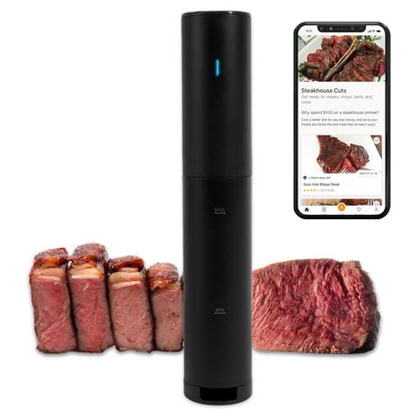 Anova Culinary Sous Vide Precision Cooker Mini