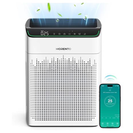 Large Room Air Purifier