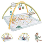 Fisher-Price Simply Senses Baby Gym Playmat