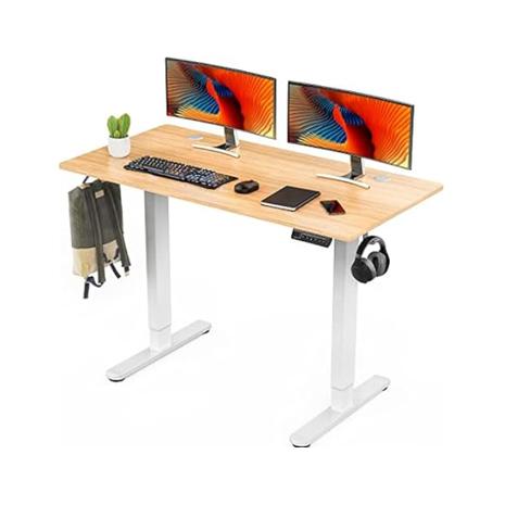 Electric Standing Desk