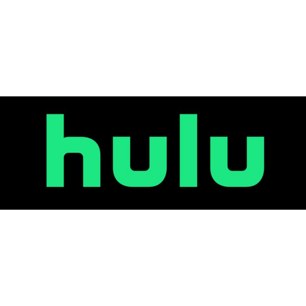 Hulu Black Friday Sale PzDeals