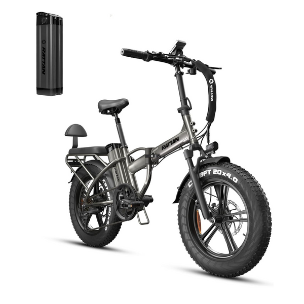 Rattan 750W Electric Bike