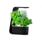 AeroGarden Sprout With 3-Pod Gourmet Herb Seed Kit