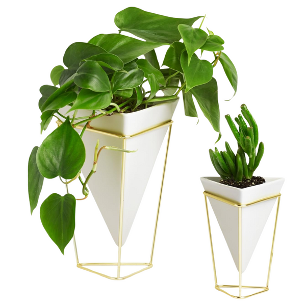 Trigg Desktop Planter Vase & Geometric Container