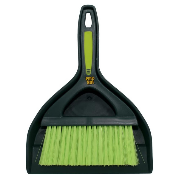 Mini Dustpan and Brush Set