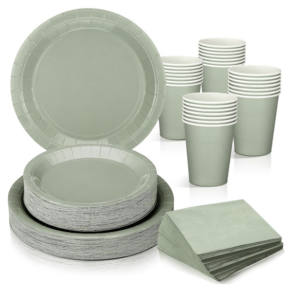 194-Piece Disposable Dinnerware Set