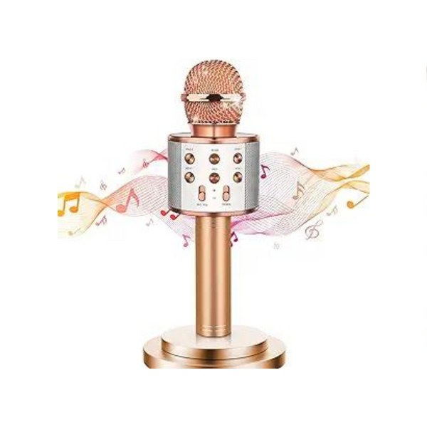 Karaoke Microphone