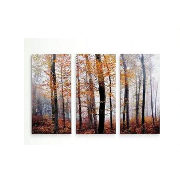 Renditions Gallery Lost in The Forest 3 Panel Wall Art