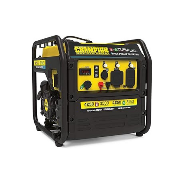 Champion Power Equipment Generators: 8750W