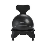 Gaiam Classic Balance Ball Chair