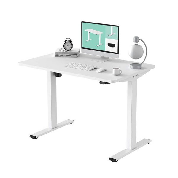 Flexispot 48" x 30" Electric Standing Desk Electric Standing Desk (White)