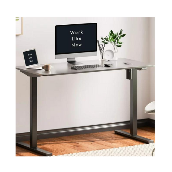 FlexiSpot 40" x 24" Home Office Computer Standing Desk