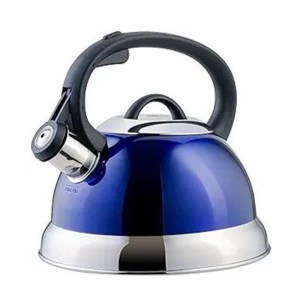 Mr. Coffee Flintshire Stainless Steel Whistling Tea Kettle