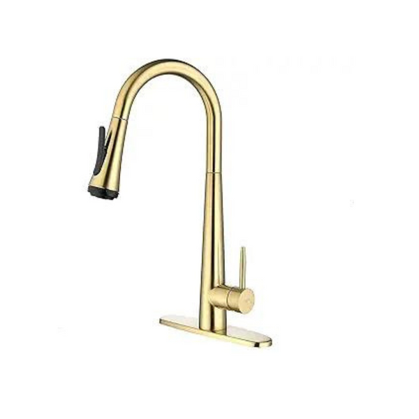 Kitchen Faucet with Pull Down Sprayer