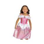 Disney Princess Aurora Dress Costume