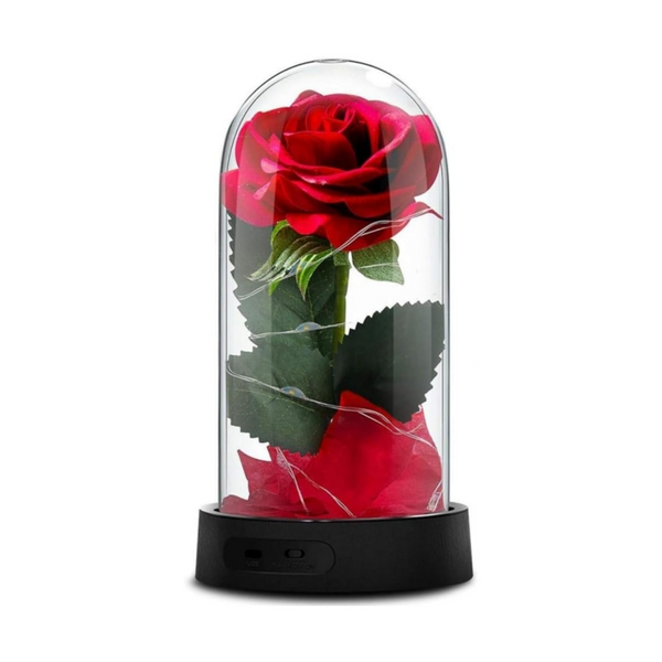 Gucho Eternal Rose Lights in Glass Dome Gifts