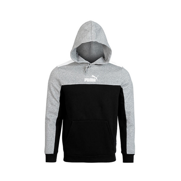 Puma Men's Essentials Block Hoodie