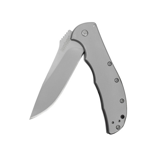 Kershaw Pocket Knives: Zing SS Assisted Open