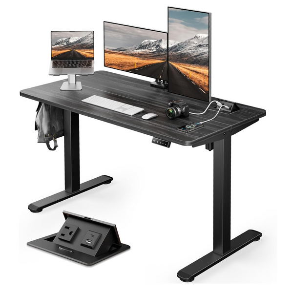 ErGear Electric Adjustable Height 48" x 24" Standing Desk