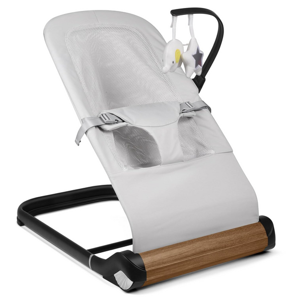 Baby Bouncer Chair