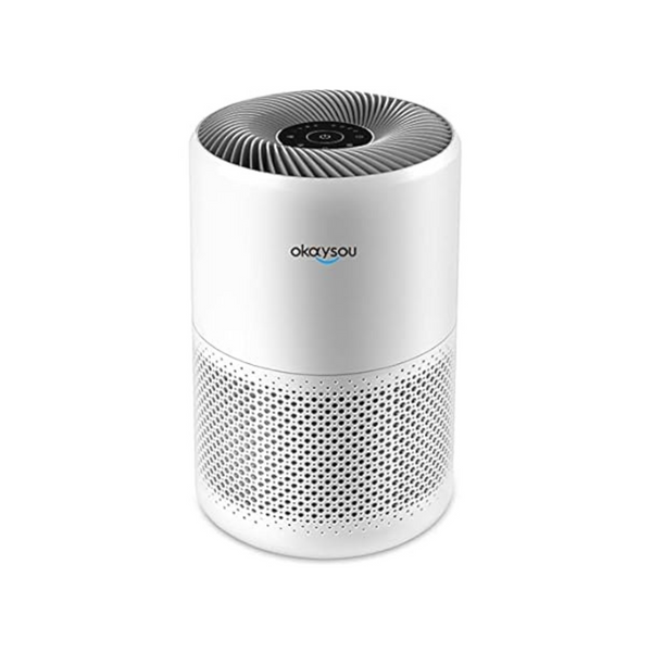 Okaysou 600 sq ft Coverage, H13 True HEPA Filter Air Purifier