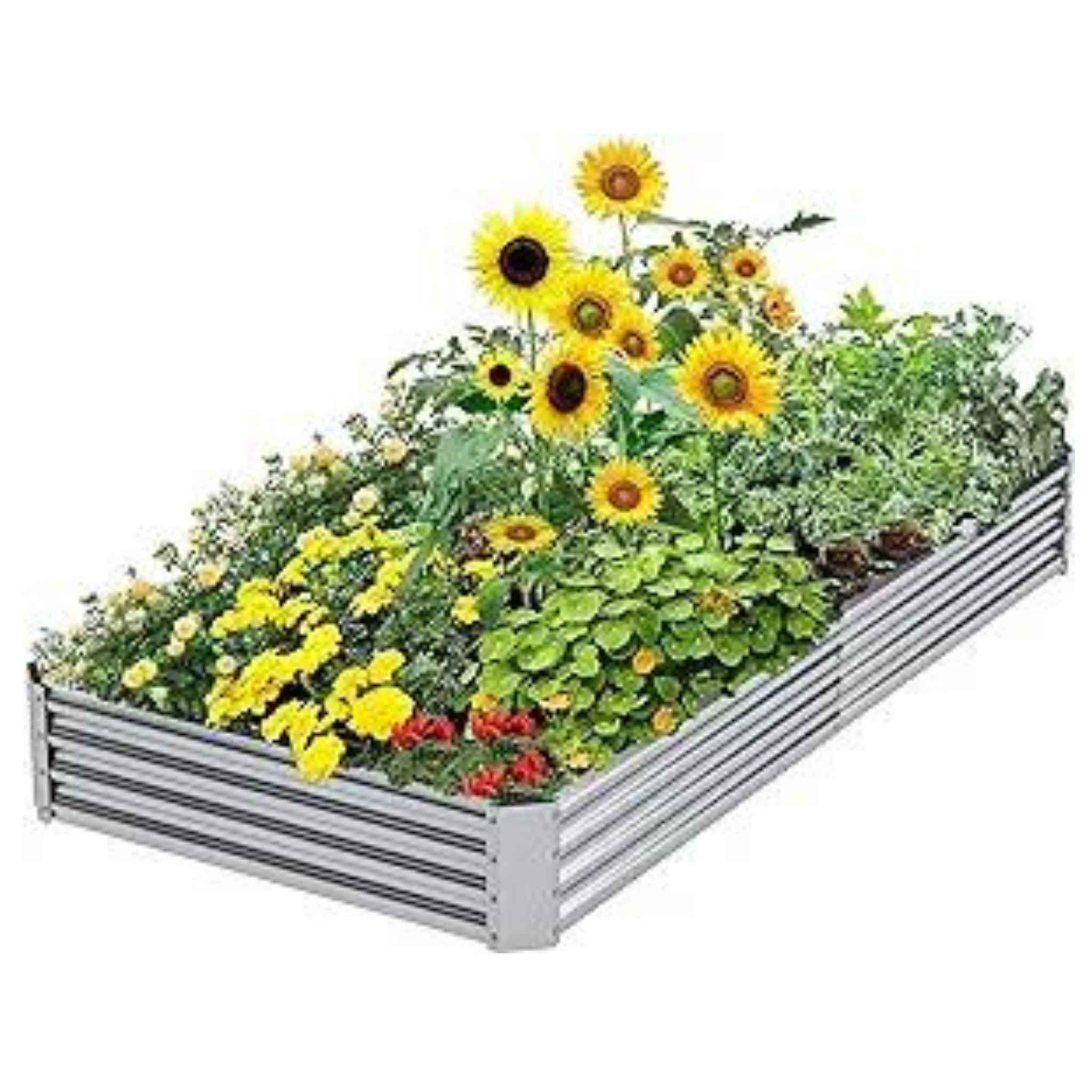 JTPTU Large Metal Galvanized Raised Garden Bed (8 x 4 x 1 feet)