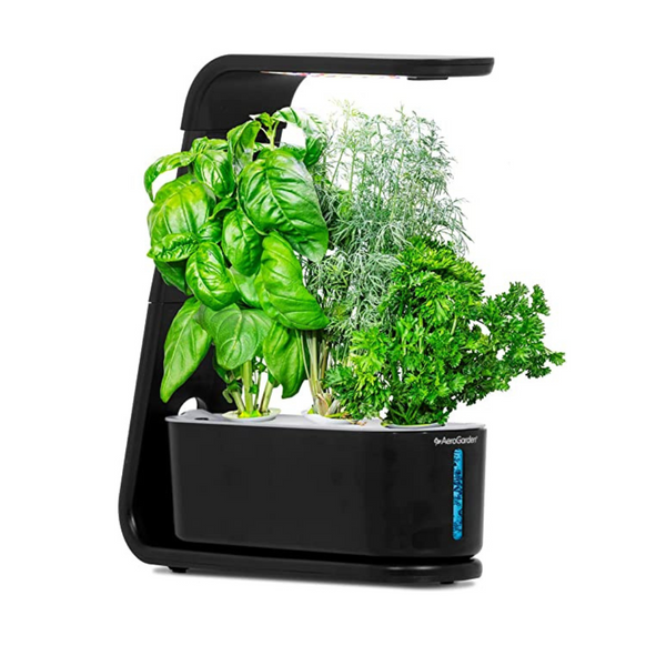 AeroGarden Sprout with Gourmet Herbs Seed Pod Kit, Hydroponic Indoor Garden