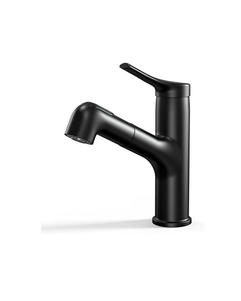 Bathroom Faucet with Pull Out Sprayer