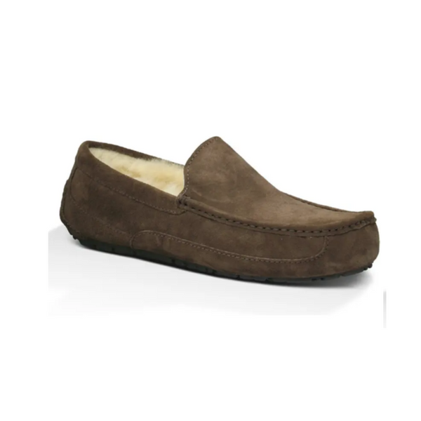 UGG Ascot Slipper (Men)