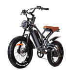 Jansno Electric 20" x 4.0 14ah Battery Bike with 750W Motor