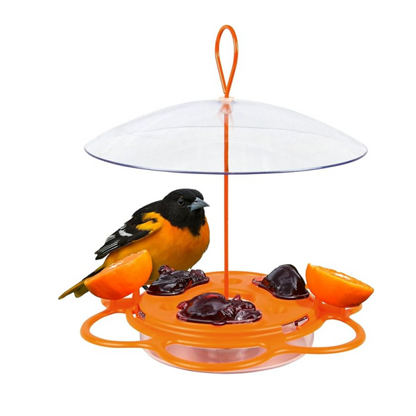 Nature's Way OFP1 All-in-One Oriole Buffet Bird Feeder (Orange)